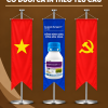Cờ đuôi cá