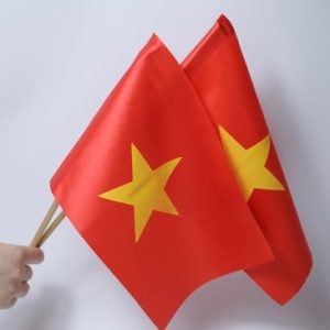 Hình ảnh cờ nhỏ tổ quốc